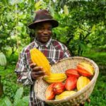 Africa (10) - Bohiney Magazine