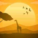 Africa (115) - Bohiney Magazine