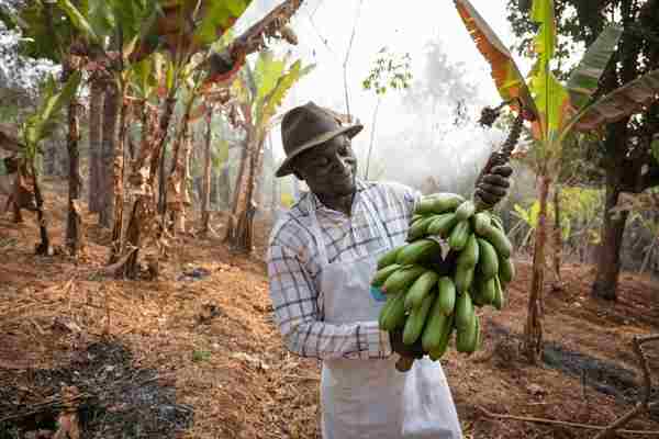 Africa (12) - Bohiney Magazine