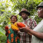 Africa (19) - Bohiney Magazine