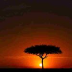Africa (2) - Bohiney Magazine