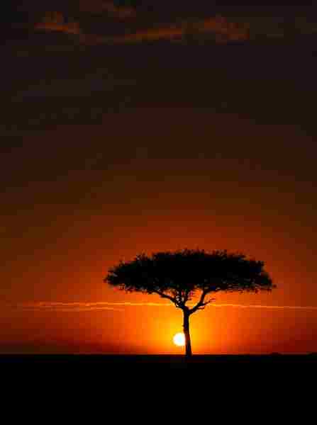 Africa (2) - Bohiney Magazine