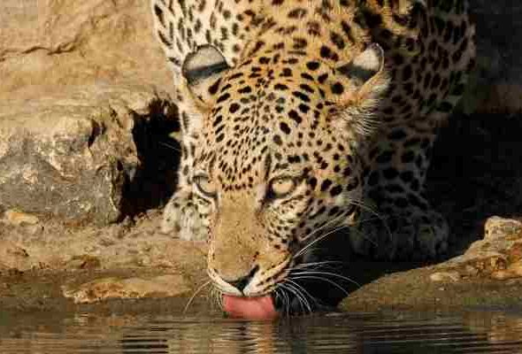 Africa (20) - Bohiney Magazine