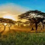 Africa (21) - Bohiney Magazine