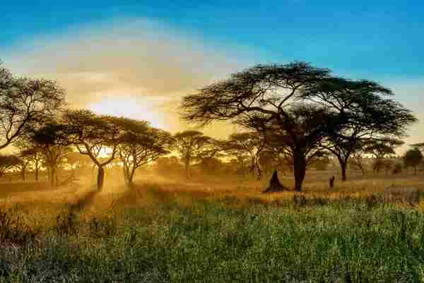 Africa (21) - Bohiney Magazine