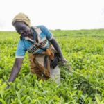 Africa (25) - Bohiney Magazine