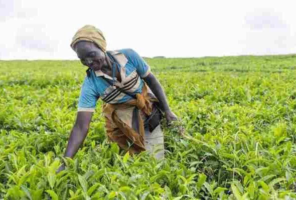 Africa (25) - Bohiney Magazine