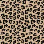 Africa (31) - Bohiney Magazine