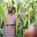 Africa (40) - Bohiney Magazine