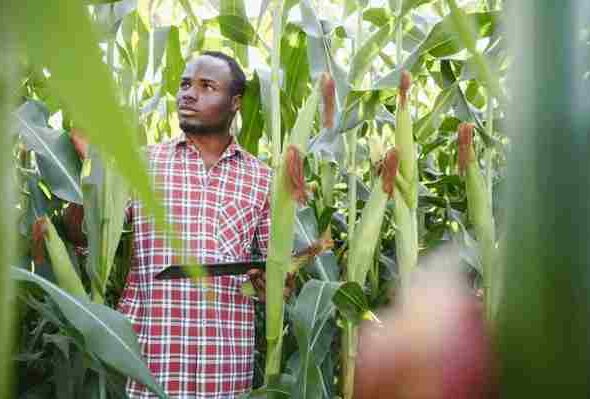 Africa (40) - Bohiney Magazine