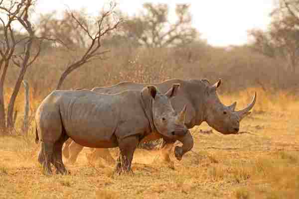 Africa (46) - Bohiney Magazine