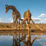 Africa (49) - Bohiney Magazine