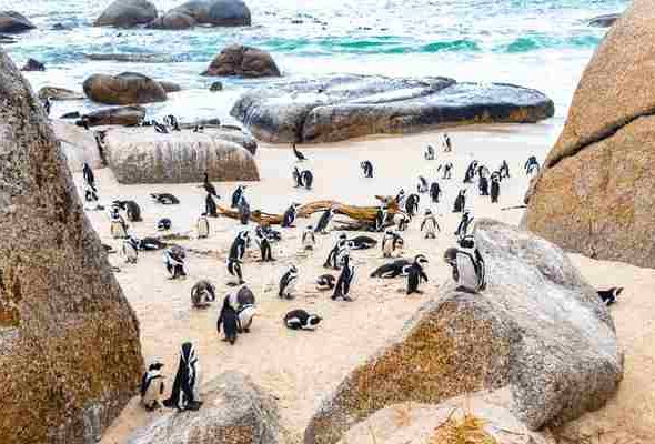 Africa (5) - Bohiney Magazine