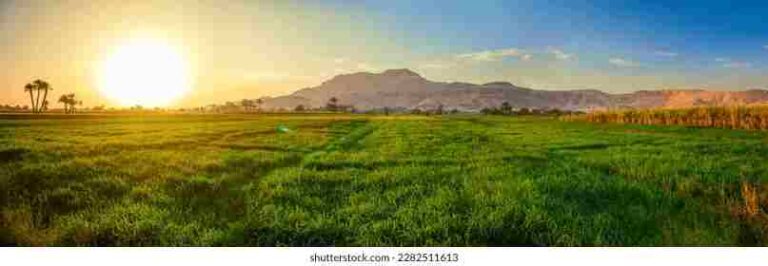 Africa (58) - Bohiney Magazine