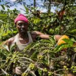 Africa (6) - Bohiney Magazine