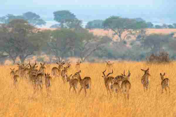 Africa (64) - Bohiney Magazine