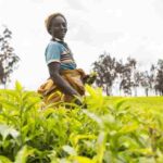 Africa (66) - Bohiney Magazine