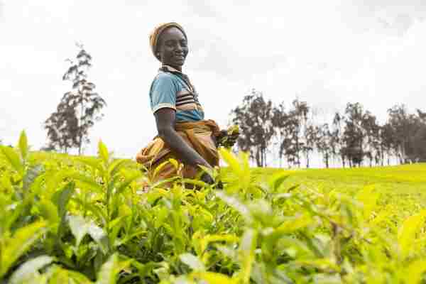 Africa (66) - Bohiney Magazine