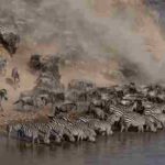 Africa (70) - Bohiney Magazine