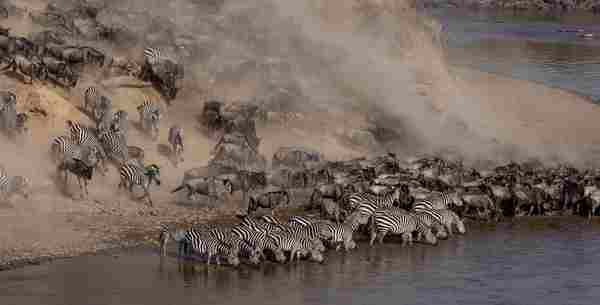 Africa (70) - Bohiney Magazine