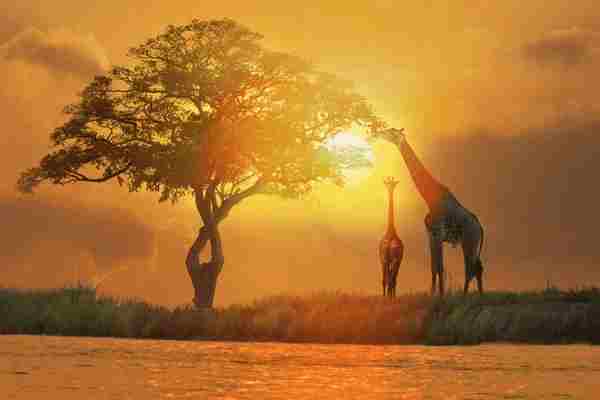 Africa (75) - Bohiney Magazine