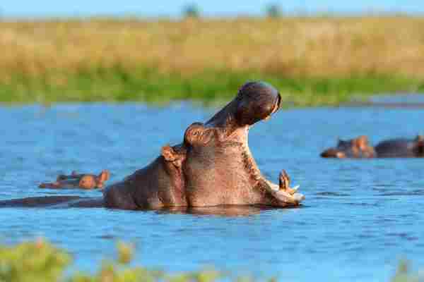 Africa (94) - Bohiney Magazine